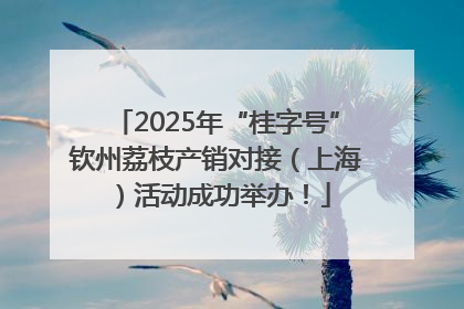 2025年“桂字号”钦州荔枝产销对接（上海）活动成功举办！