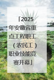 2025年安徽省重点工程职工（农民工）职业技能竞赛开幕