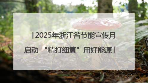 2025年浙江省节能宣传月启动 “精打细算”用好能源