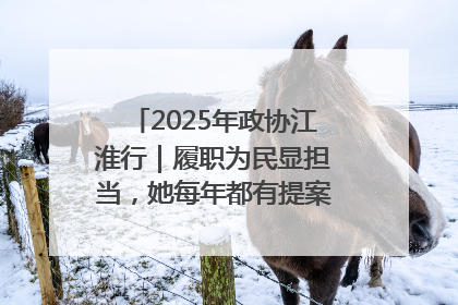 2025年政协江淮行｜履职为民显担当，她每年都有提案被评为“优秀”