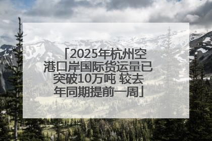 2025年杭州空港口岸国际货运量已突破10万吨 较去年同期提前一周