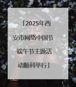 2025年西安市网络中国节·端午节主题活动顺利举行