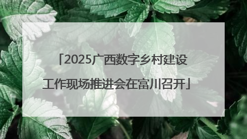2025广西数字乡村建设工作现场推进会在富川召开