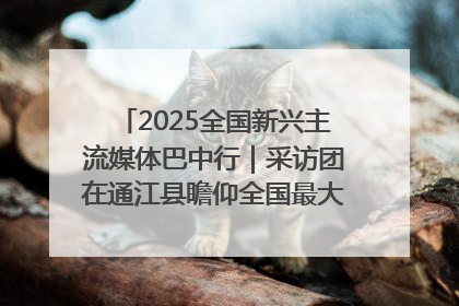 2025全国新兴主流媒体巴中行｜采访团在通江县瞻仰全国最大红军烈士陵园