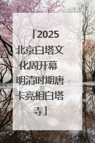 2025北京白塔文化周开幕 明清时期唐卡亮相白塔寺