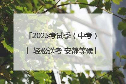 2025考试季（中考）丨 轻松送考 安静等候
