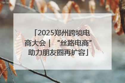 2025郑州跨境电商大会｜“丝路电商”助力朋友圈再扩容