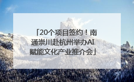 20个项目签约！南通崇川赴杭州举办AI赋能文化产业推介会