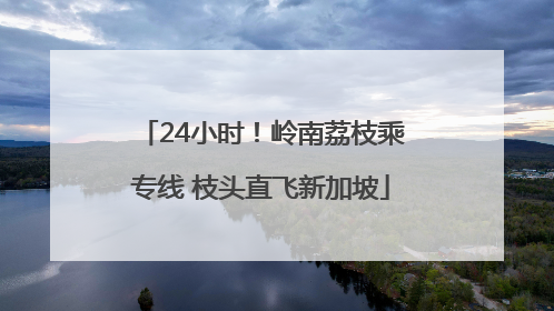 24小时！岭南荔枝乘专线 枝头直飞新加坡