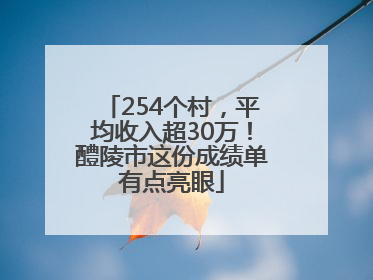 254个村，平均收入超30万！醴陵市这份成绩单有点亮眼