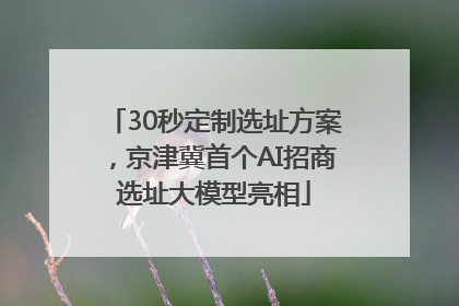 30秒定制选址方案，京津冀首个AI招商选址大模型亮相