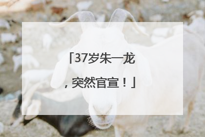 37岁朱一龙，突然官宣！