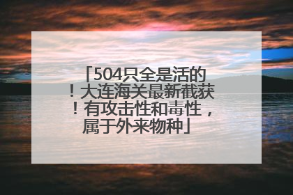 504只全是活的！大连海关最新截获！有攻击性和毒性，属于外来物种