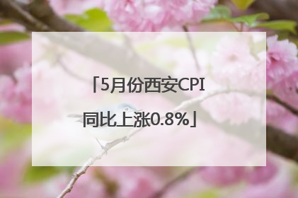 5月份西安CPI同比上涨0.8%