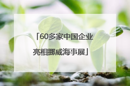 60多家中国企业亮相挪威海事展