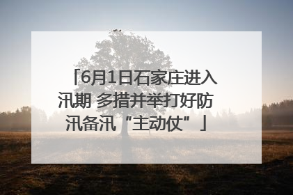 6月1日石家庄进入汛期 多措并举打好防汛备汛“主动仗”