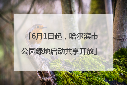 6月1日起，哈尔滨市公园绿地启动共享开放