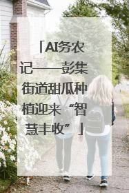 AI务农记——彭集街道甜瓜种植迎来“智慧丰收”