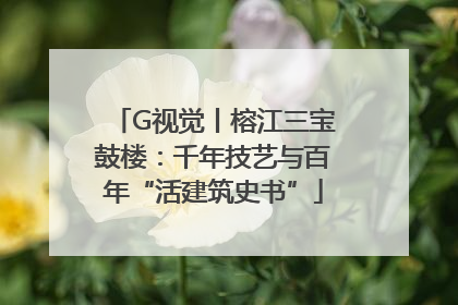 G视觉丨榕江三宝鼓楼：千年技艺与百年“活建筑史书”