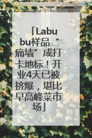 Labubu样品“痛墙”成打卡地标！开业4天已被挤爆，堪比早高峰菜市场