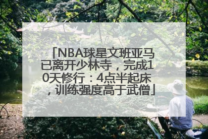 NBA球星文班亚马已离开少林寺，完成10天修行：4点半起床，训练强度高于武僧