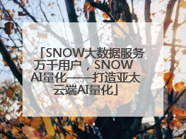 SNOW大数据服务万千用户，SNOW AI量化——打造亚太云端AI量化