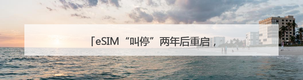 eSIM“叫停”两年后重启，卡槽时代即将迈向芯片时代？