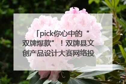 pick你心中的“双牌爆款”！双牌县文创产品设计大赛网络投票评选火热进行中